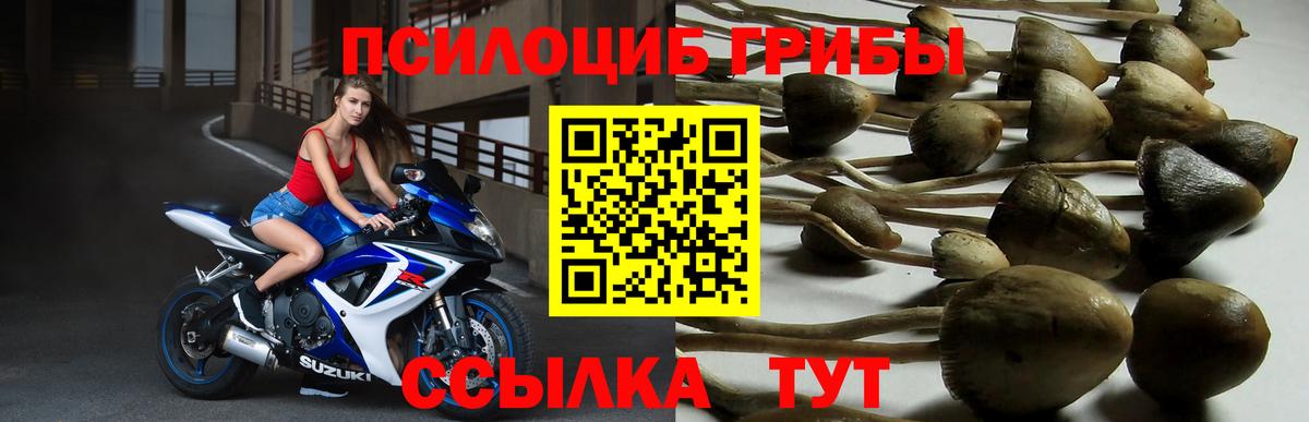 Галлюциногенные грибы мицелий Муравленко